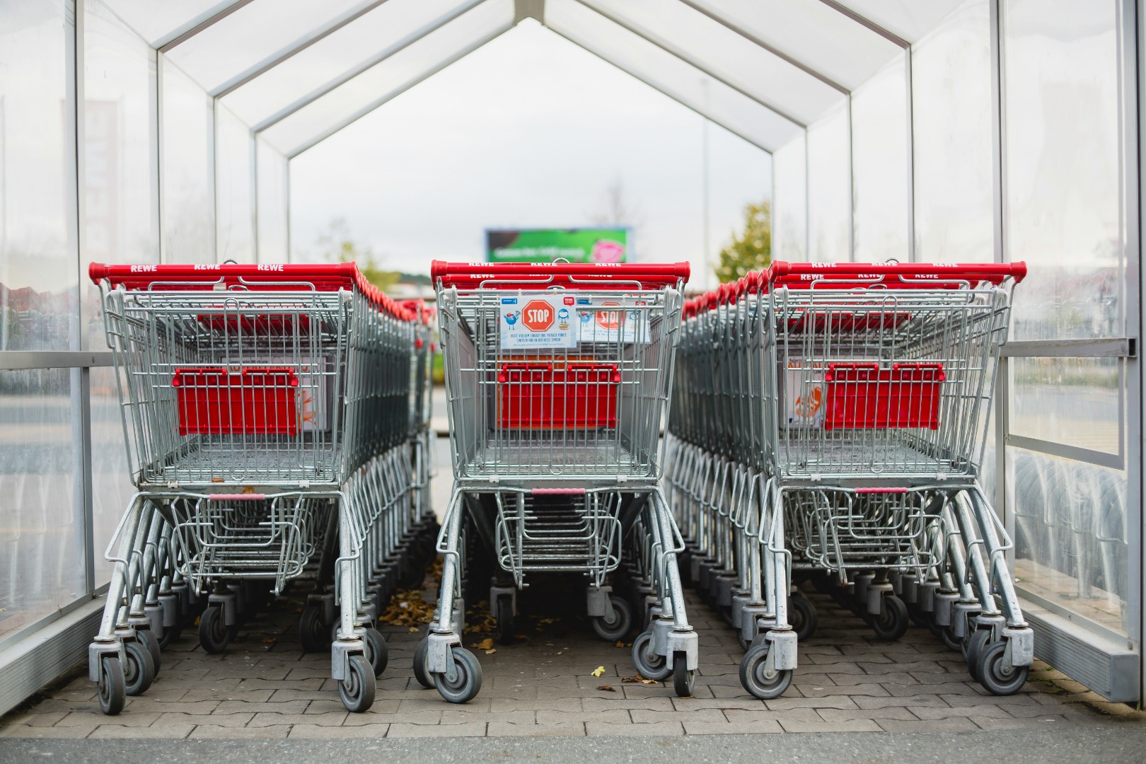 Al 37.3% de los mexicanos no le alcanza su salario para comprar la canasta básica: Coneval